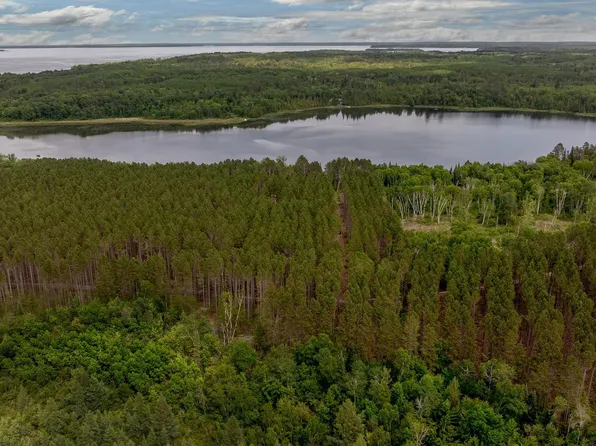 Fs #2666, Walker, MN 56484