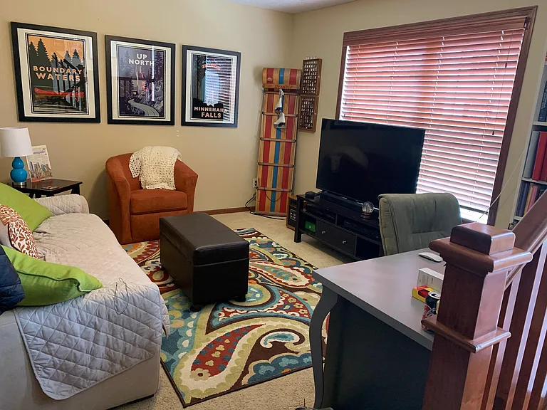 Lower Level Living Room