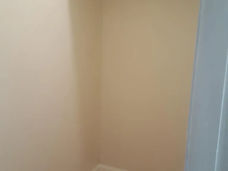 Large hall closet