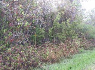 1635 Algoa Rd, Alvin, TX 77511