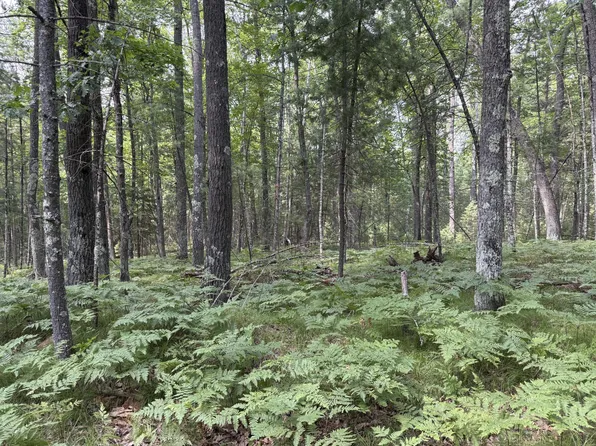 Pine Shore Ln, Saint Germain, WI 54558