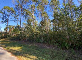 106 Slumber Meadow Trl, Palm Coast, FL 32164