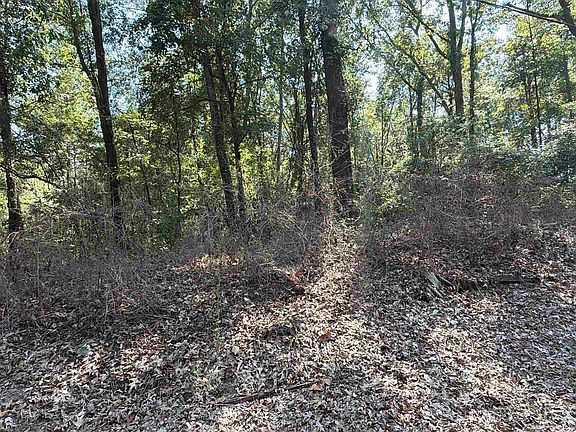 3rd image of Shady Grove Rd