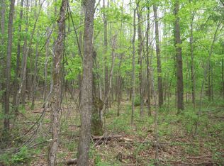 Lot 51, Farwell, MI 48622