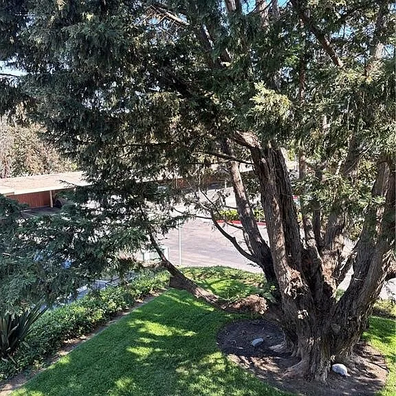 432 Edgehill Ln — Photo 15