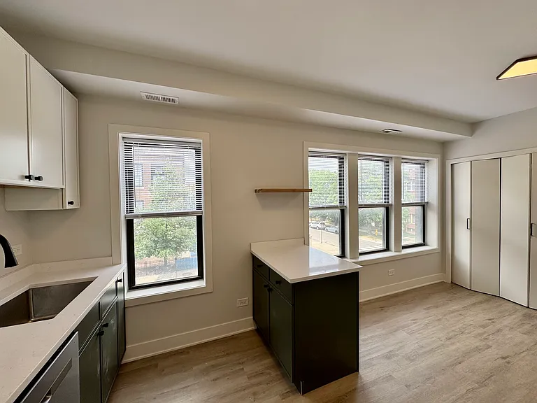 1635 W Cornelia Ave #2 — Photo 16