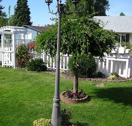 front yard lighting
