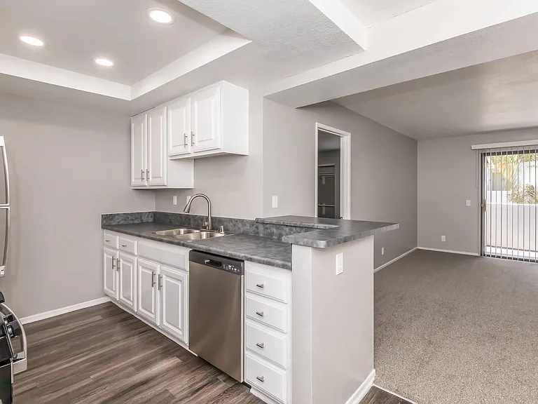 Palm Court Apartment Homes — Photo 47