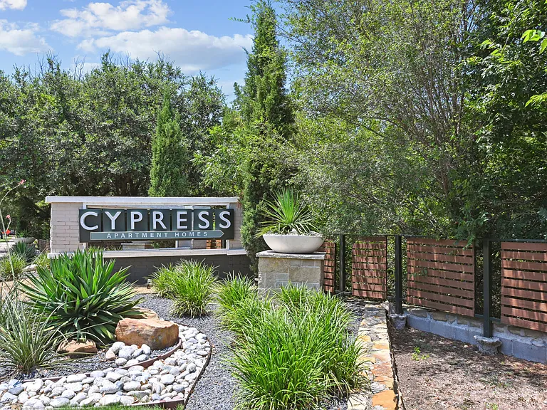 Cypress — Photo 32