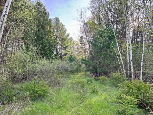 0 Red Apple Rd, Manistee, MI 49660