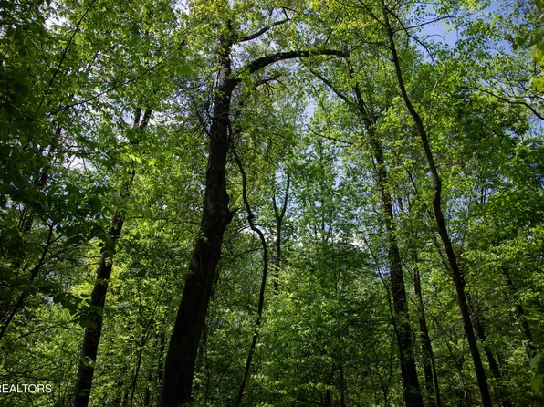 405 Carta Rd, Knoxville, TN 37914