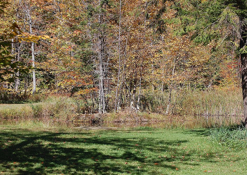 2nd image of 246 Moonshine Ln