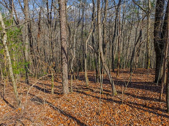 5th image of 55 Timberwalk
