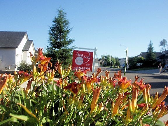 Frontyard with Real Estate Sign.