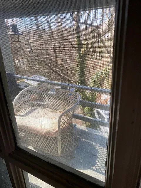 1 bed, $1,950 — Photo 4