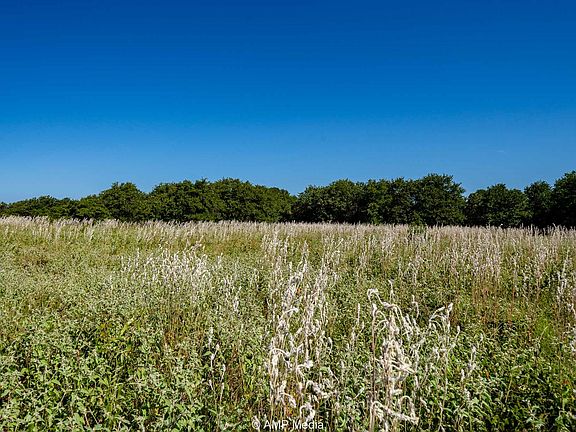 5th image of County Road 240