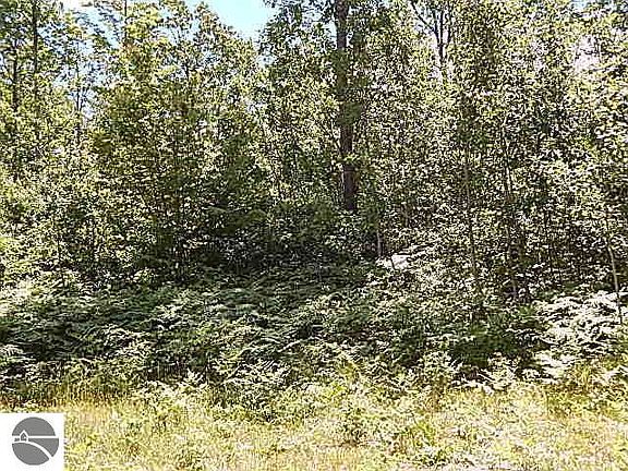 2nd image of M W 55th