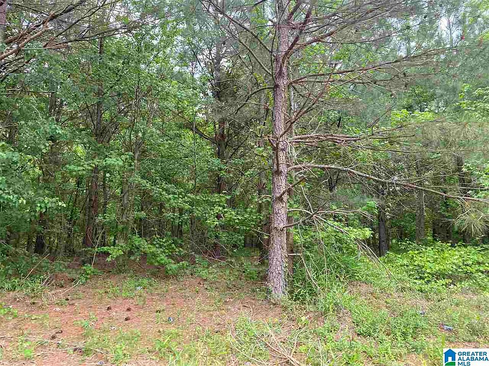 1st image of County Road 513