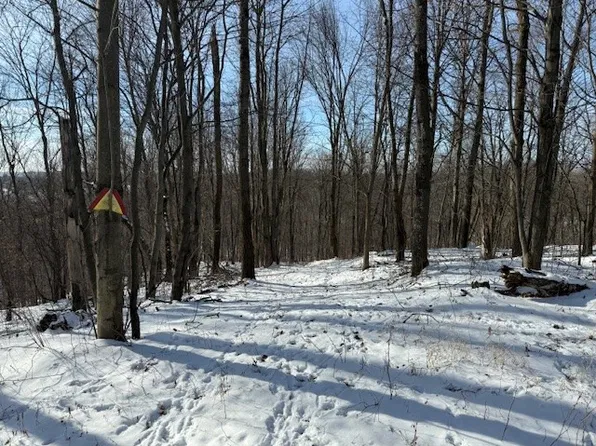0 County Rd E, Osseo, WI 54758