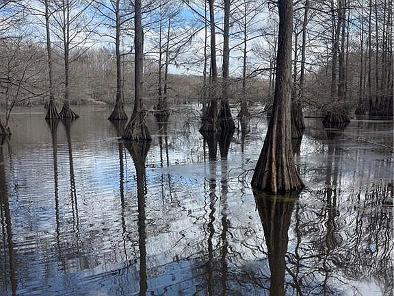2nd image of Pete Slaughter Rd