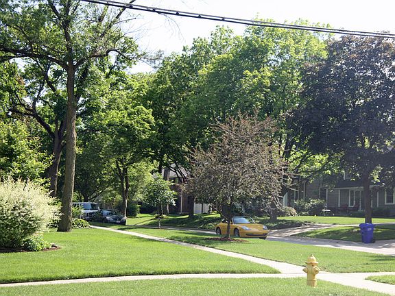 5th image of 293 Montclair Ave