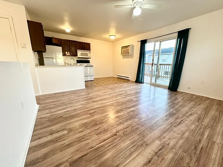 1 Russian Olive Dr — Photo 10