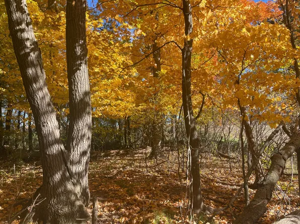 Xxx 190th St, Centuria, WI 54824