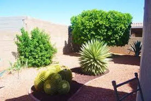 22520 N Via De La Caballa — Photo 14
