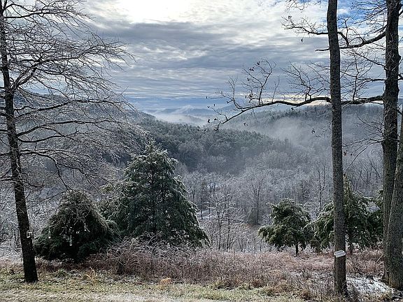 Winter View from Rear Porch