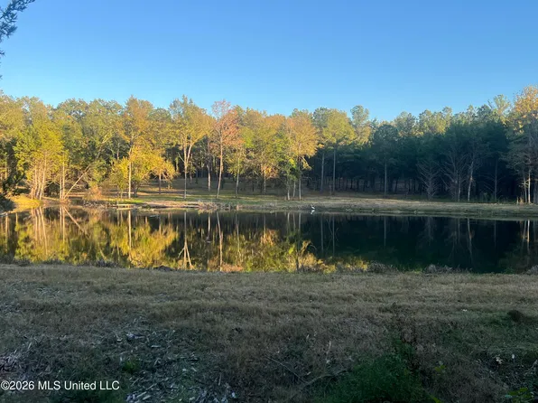 271 Tisdale Rd, Madison, MS 39110