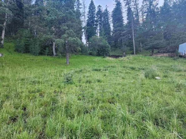 1 Trading Post Rd, Cloudcroft, NM 88317