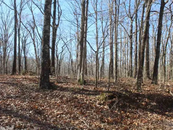151 Fox Run Rd, Mountain View, AR 72560