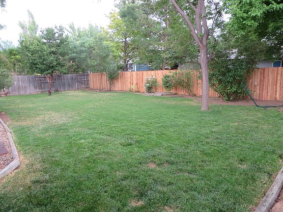 Back yard