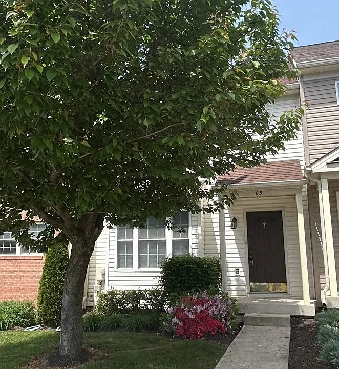 63 Mabel Ln #1