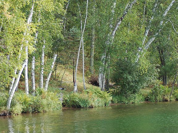 Tabor Lake Lot