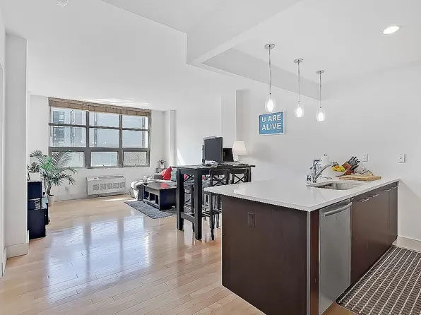 5-09 48th Ave #2G, Long Island City, NY 11101
