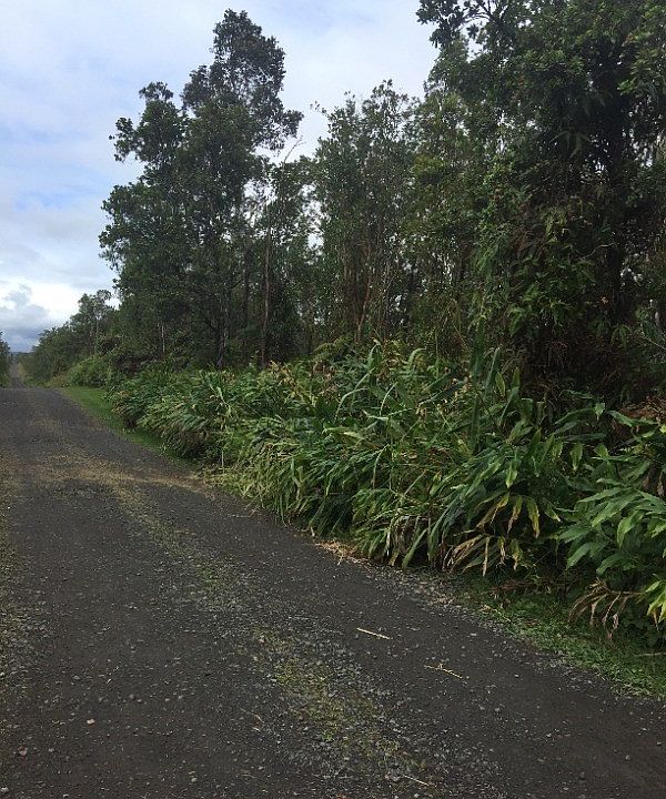 2nd image of Apuakehau Rd Lot 2