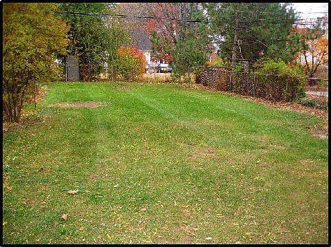 Yard