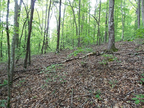2nd image of Adcock Bend Rd