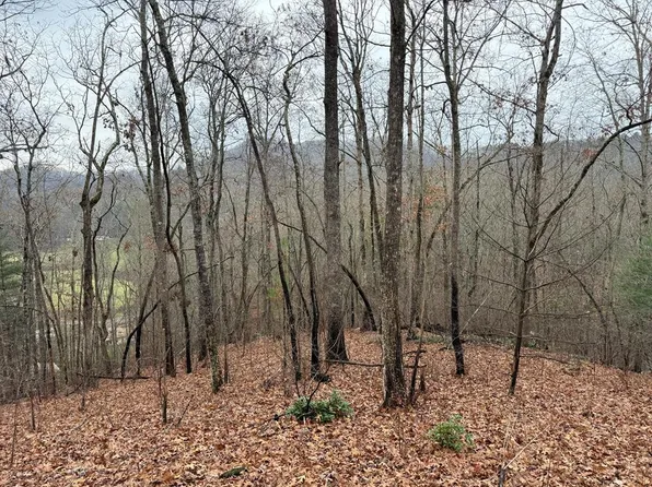 0 Flaming Ridge Dr Lot 27, Hayesville, NC 28904