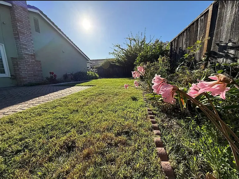 33534 Trinculo Ln — Photo 8
