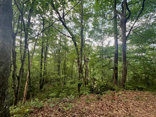0 Strawberry Branch, Scaly Mountain, NC 28775