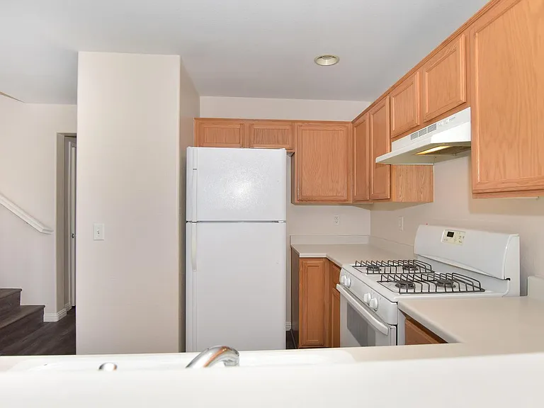 10521 Silver Cholla Ct — Photo 5