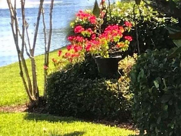 5th image of 7487 Scarlet Ibis Ln