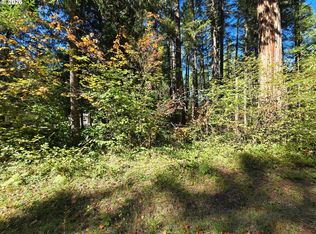 1655231000700 McKenzie St, Blue River, OR 97413
