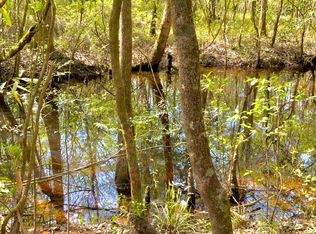 0 James E Ward Rd, Ponce De Leon, FL 32455