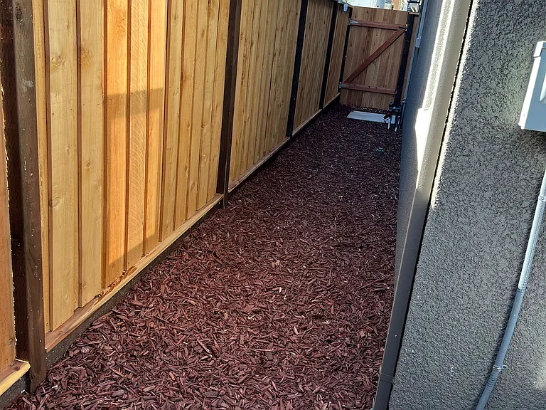 Side yard with entrance