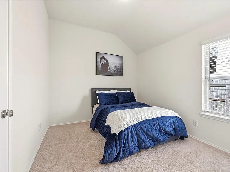 26006 Windy Prairie Ct — Photo 27