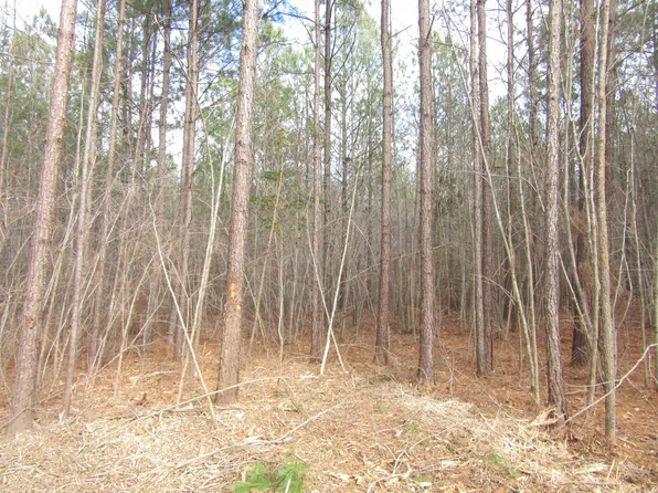 TRACT 6 State Highway 231 Lot 6, Spring Hope, NC 27882