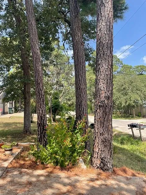 3 bed, 2.0 bath, 975 sqft, $1,600 — Photo 2